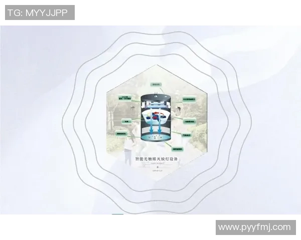 中超平台观赛指南全方位解读让你畅享精彩赛事体验