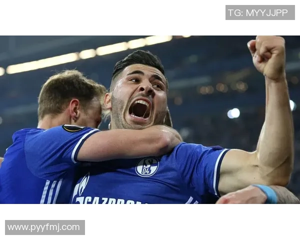 沙尔克04官宣新援加盟,助力球队冲击新赛季巅峰