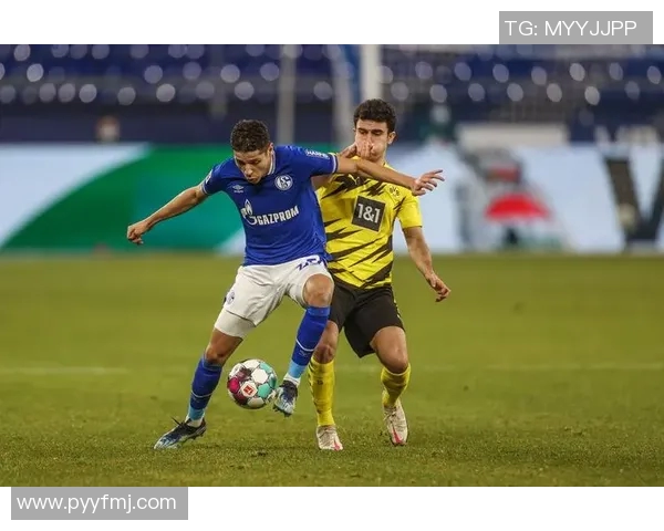 沙尔克04陷保级泥潭,形势堪忧! 沙尔克04陷保级泥潭,形势堪忧!